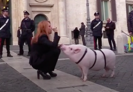 Michela Brambilla con un maiale davanti a Montecitorio